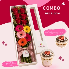 Combo Especial – caja mix + Fresas con Crema 🌸🍓